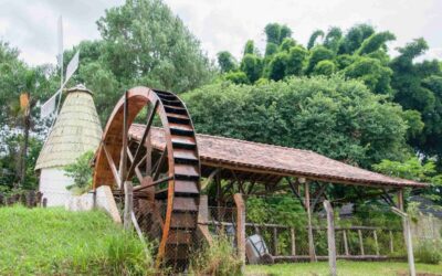 Foto: Rodoviariaonline