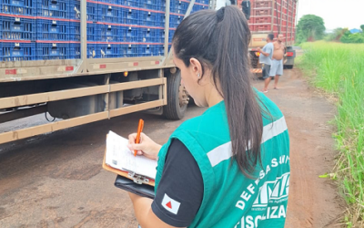 Foto: Divulgação/IMA