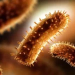 Foto/Imagem: Atlas da Saúde