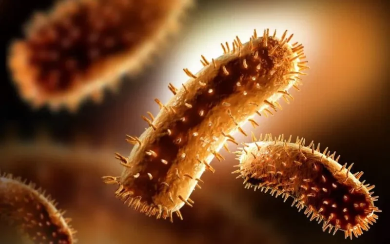 Foto/Imagem: Atlas da Saúde