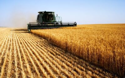 Foto: boosteragro